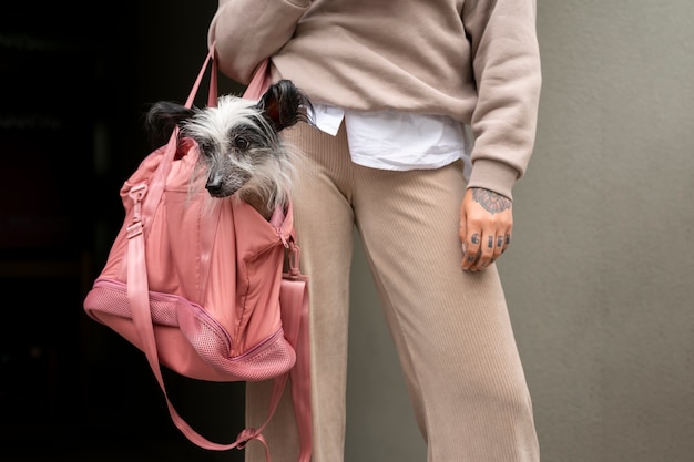 Front view woman carrying puppy in bag