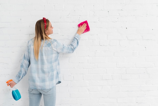 Free photo front view woman cleaning wall