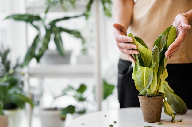 コピースペースで屋内で植物を栽培している女性の正面図