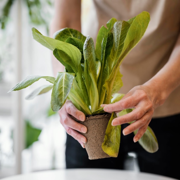 Вид спереди женщины, выращивающей растение в помещении