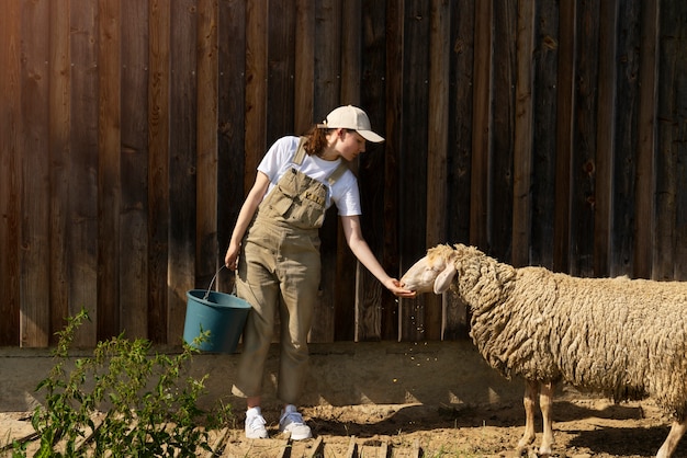 Front view woman feeding cute sheep