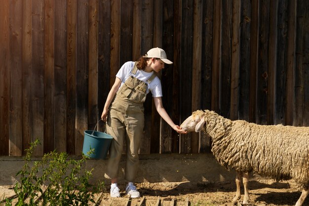 Женщина, вид спереди, кормит милых овец
