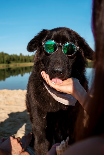 ビーチで犬に餌をやる女性の正面図