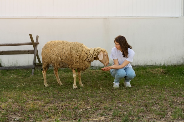 Front view woman feeding sheep