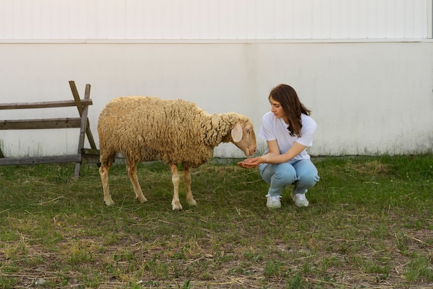 Женщина, вид спереди, кормит овец