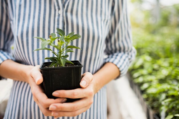 Front view of woman holding black flowerpot