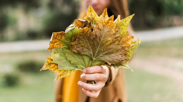 Front view woman holding a bunch of leaves