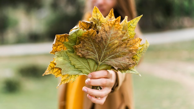 Вид спереди женщина, держащая кучу листьев