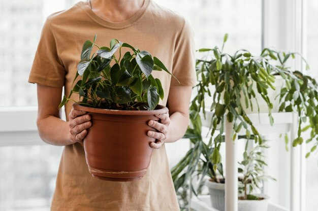 Front view of woman holding indoor plant pot