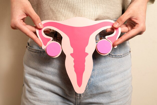 Front view woman holding reproductive system