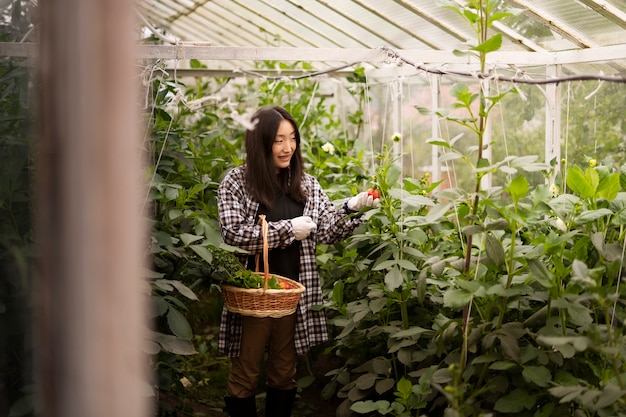 Free photo front view woman picking tomatoes