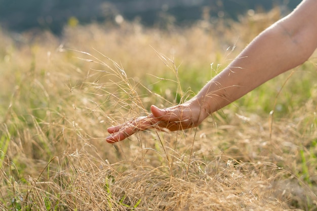 Front view of woman running her hand through grass