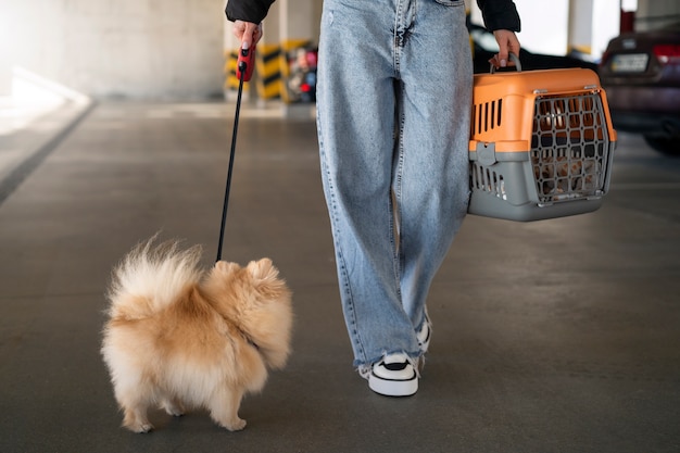 Foto gratuita donna di vista frontale con il cane carino