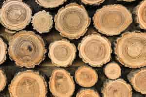 Foto gratuita vista frontale dei tronchi di legno