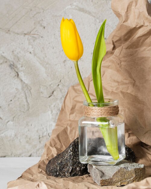Вид спереди желтый тюльпан в прозрачной вазе