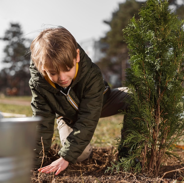 Boys plant. Мальчик сажает елку. Фото мальчик деревце сажает. Как посадить мальчика.
