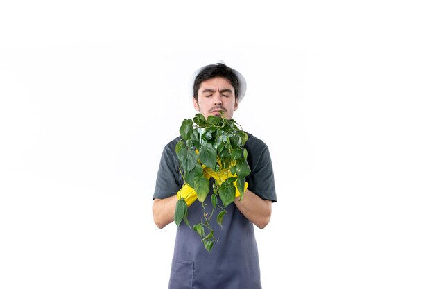 Front view young male gardener holding plant on white background garden tree grass color gardener flower ground job green