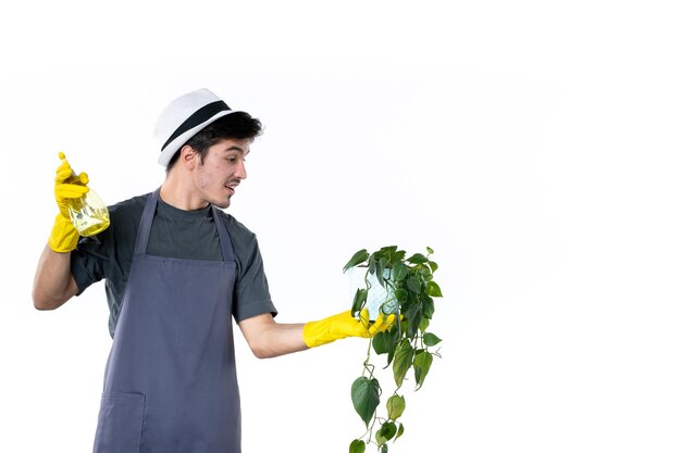 Front view young male gardener spraying plant in pot on white background flower work garden tree color ground job Premium Photo