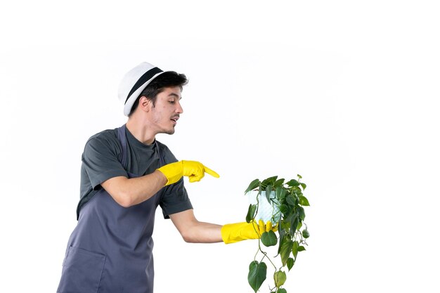 Front view young male in yellow gloves holding plant on a white background flower grass tree gardener green job bush garden