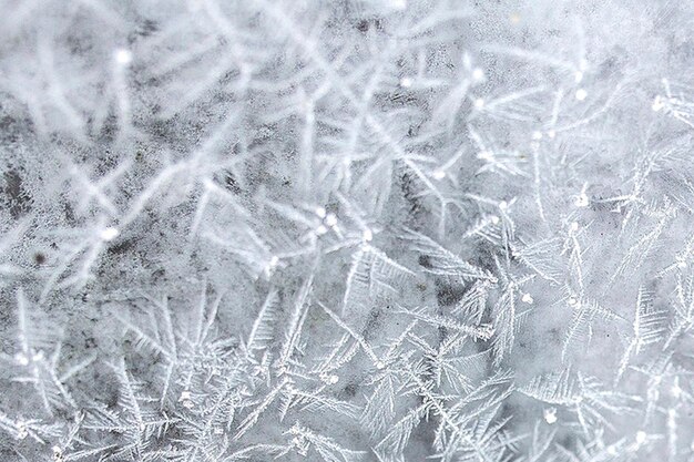 窓の上の霜
