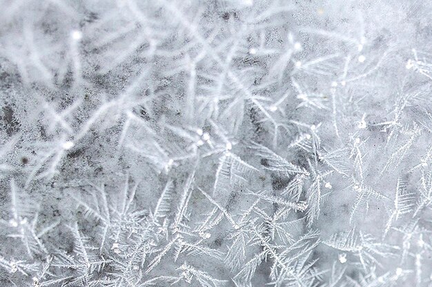 Frost on a window