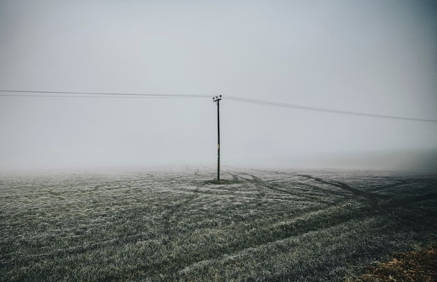 Морозное поле с электрическим полюсом в туманный день