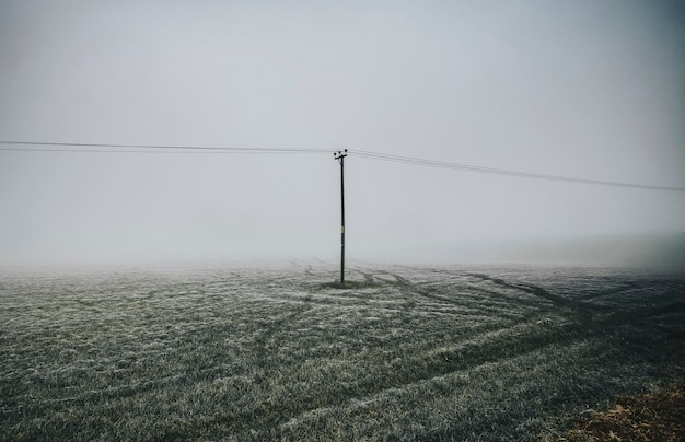 Frosty field with electric pole in a misty day