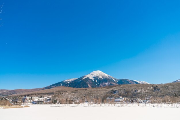 Frozen lake in the winter time