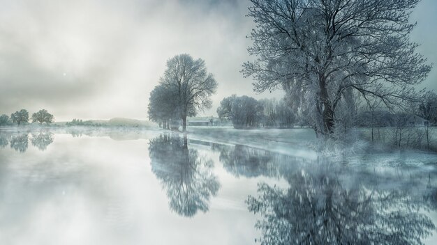 Frozen lake in winter