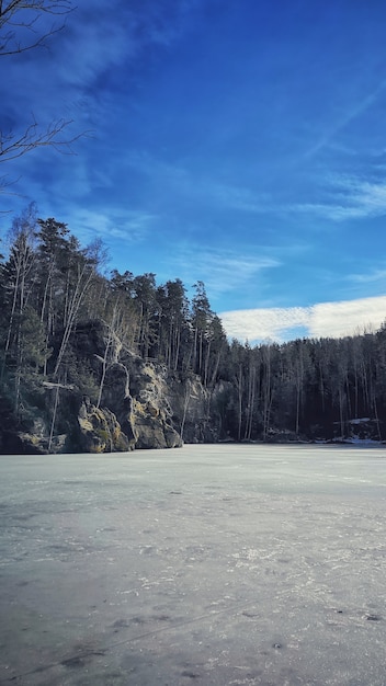 Frozen Lake