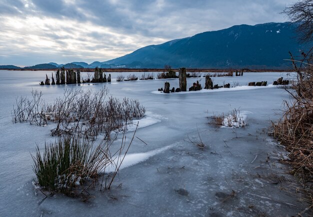 Frozen natural landscape