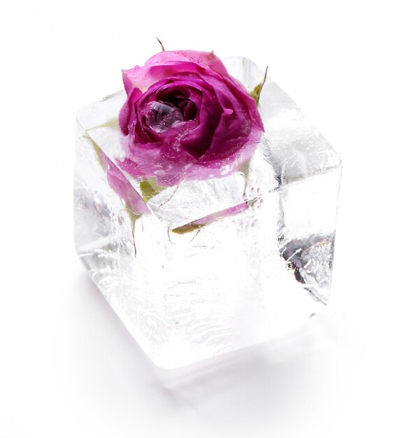 Frozen rose