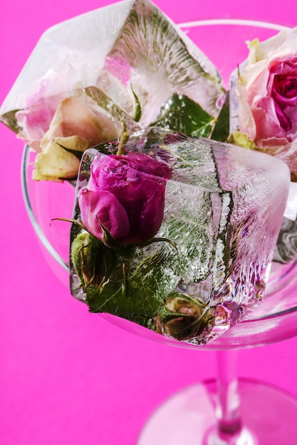 Free photo frozen rose