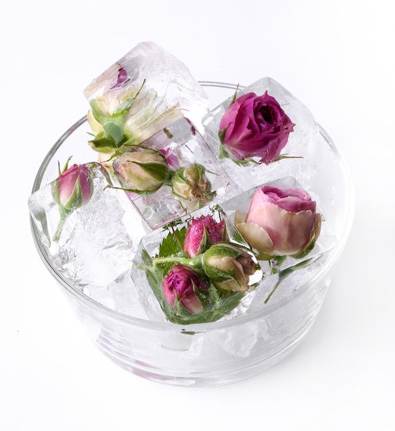 Frozen rose