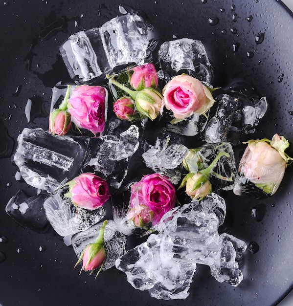 Free photo frozen rose