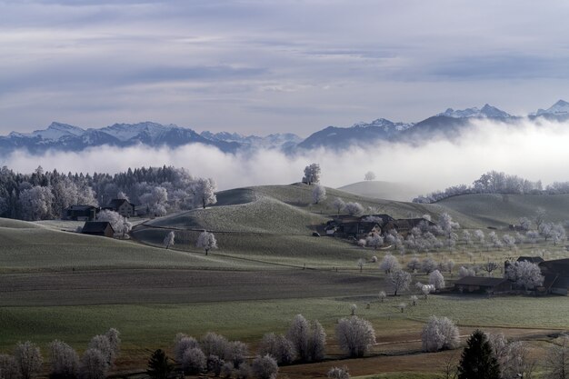 Frozen swiss farms