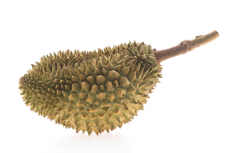 Free Photo fruit durian spikes nutrition ripe