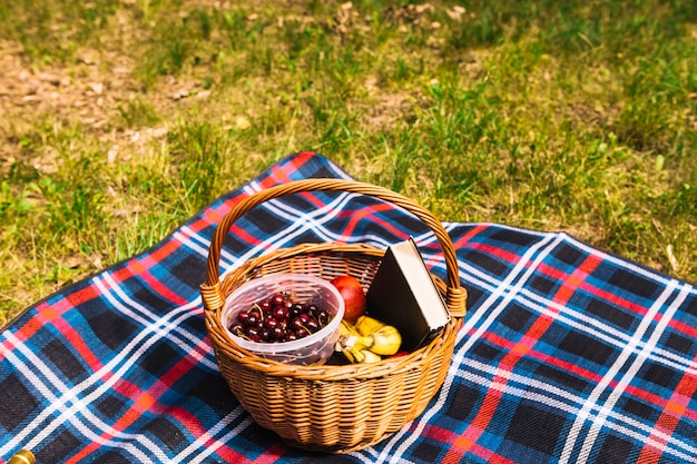 Fruits; book in the wooden basket on blanket over the green grass