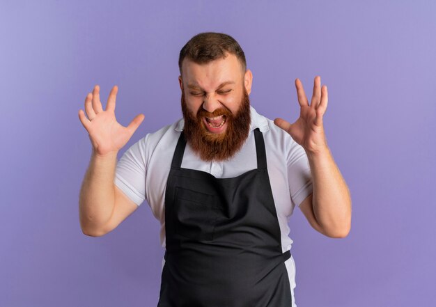 Frustrated professional bearded barber man in apron shouting with aggressive expression with raised arms standing over purple wall