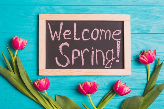 Fuchsia tulips near chalkboard with writing