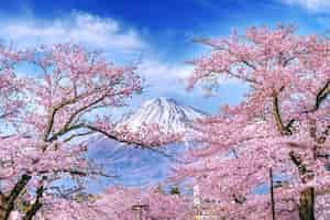 無料写真 日本の春の富士山と桜。