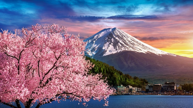 Бесплатное фото Гора фудзи и цветущая сакура весной, япония.