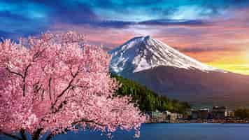 Free photo fuji mountain and cherry blossoms in spring, japan.