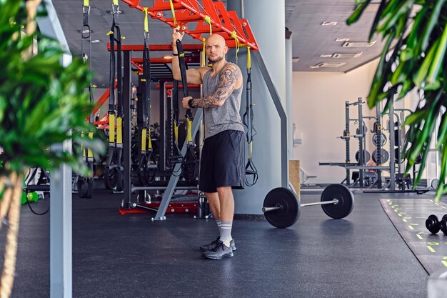 The full body image of athletic bearded tattooed, shaved head male doing trx straps exercises in a gym club.