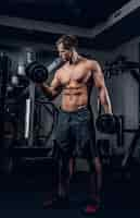 Free photo full body portrait of athletic shirtless male doing biceps workouts with dumbbells in a gym club.