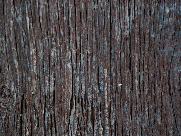 Free photo full frame background of wooden textured