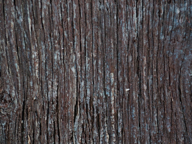 Free photo full frame background of wooden textured