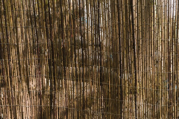 Full frame of bamboo fence