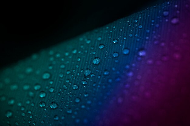 Full frame of droplets on the colorful feather surface