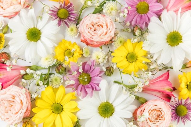 Full frame of fresh chrysanthemum; chamomile; rose; baby's breath and alstroemeria